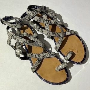 Cabi gladiator sandals animal snake skin print womens sz 8.5 gray shoes flats